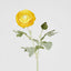 Clara Yellow Ranunculus Spray49cm - Pack of 24