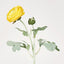 Clara Yellow Ranunculus Spray49cm - Pack of 24