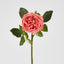 Dianna Real Touch Rose Steam Orange
60cm - Pack of 30