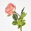 Dianna Real Touch Rose Steam Orange
60cm - Pack of 30
