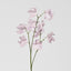 Jane Sweet Pea 60cm White & Purple - Pack of 12