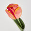 Liv Soft Touch Tulip Orange
45cm - Pack of 60