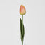 Liv Soft Touch Tulip Orange
45cm - Pack of 60