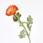 Clara Orange Ranunculus Spray
49cm - Pack of 24