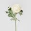 Clara Pure White Ranunculus Spray 49cm - Pack of 24