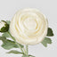 Clara Pure White Ranunculus Spray 49cm - Pack of 24