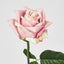 Ingrid Rose Real Touch Light Pink
46cm - Pack of 48