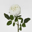 Dianna Real Touch Rose Stem White 60cm - Pack of 30