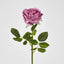 Dianna Real Touch Rose Steam Autumn Pink
60cm - Pack of 30