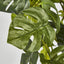 Real Touch Monstera Split Philo Hanging Bush x 13