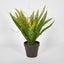Potted Fern 28cm