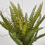 Potted Fern 28cm