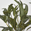 Eucalyptus Seeded Bundle 43cm - Pack of 24