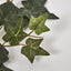 Ivy Garland Green 180cm