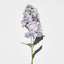Lavender Cone Hydrangea 93cm - Pack of 6