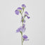Sweetpea Purple - Pack of 36