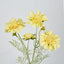 Scabiosa Spray with Buds Yellow - Pack of 36