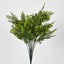 Maidenhair Fern Bush Green