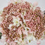 Lace Cap Hydrangea Pink