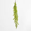 Button Hanging Fern - Pack of 24