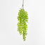 Hanging Buxus Greenery Light Green - Pack of 24