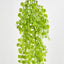 Hanging Buxus Greenery Light Green - Pack of 24
