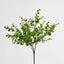 Eucalyptus Bush Green - Pack of 12
