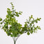 Eucalyptus Bush Green - Pack of 12
