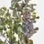 Eucalyptus Bush Purple - Pack of 12
