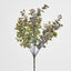 Eucalyptus Bush Purple - Pack of 12
