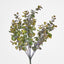 Eucalyptus Bush Purple - Pack of 12