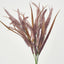 Pampas Grass Bush Pink