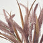 Pampas Grass Bush Pink
