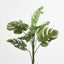 Monstera Bush