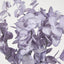 Eucalyptus Bush Purple - Pack of 24