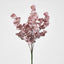Eucalyptus Bush Pink - Pack of 24