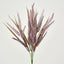 Pampas Grass Bush Purple