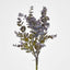 Eucalyptus Bush Purple - Pack of 24