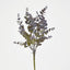 Eucalyptus Bush Purple - Pack of 24