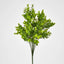Mini Baby Eucalyptus Bush Green - Pack of 24