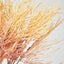 Pampas Grass Bush Orange