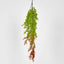 Hanging Eucalyptus Green Red - Pack of 24