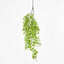 Hanging Leaf Bush Green - Pack of 24