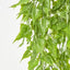 Hanging Leaf Bush Green - Pack of 24