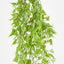 Hanging Leaf Bush Green - Pack of 24