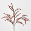 Amaranthus Spray Dark Pink - Pack of 6