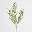 Eucalyptus Spray 65cm Green - Pack of 12