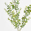 Eucalyptus Spray 65cm Green - Pack of 12