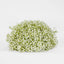 White Gyp Baby Breath Floral Ball