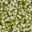 White Gyp Baby Breath Floral Ball